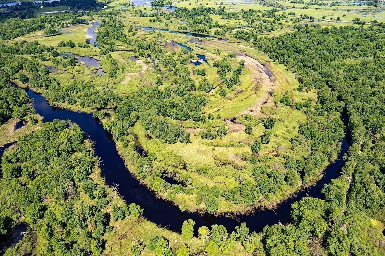 Припятский национальный парк фото Національний парк Прип'ятський (багато фото) - viewsnap.ru