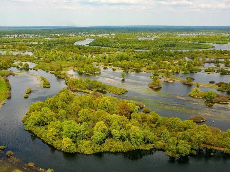 Припятский национальный парк фото National parks in Belarus - Excursions on Belarus Tours in Minsk