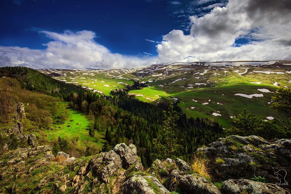 Природа адыгеи фото самые красивые места Отдых в Лагонаки (плато Лаго-Наки, Адыгея) 2024 - цены на отдых посуточно, без п