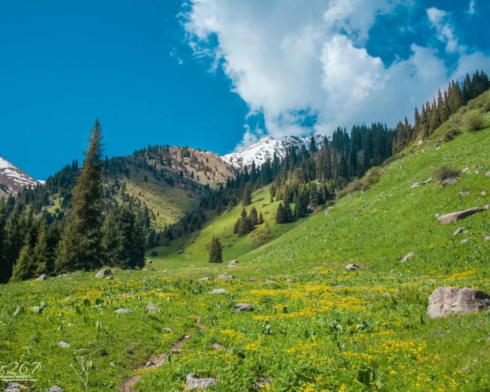 Природа алматы фото Trekking in Almaty - Almaty Mountain Club