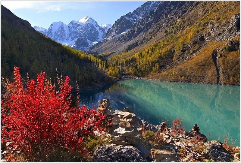 Природа алтая фото самые Российский Сервис Онлайн-Дневников Natural landmarks, Nature reserve, Nature