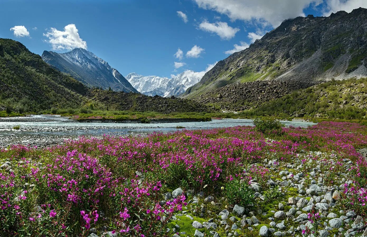 Природа алтая фото самые красивые Фото с тегом "уч-сумер" - Russian Traveler