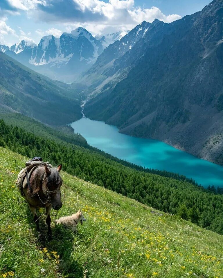 Природа алтая фото самые красивые места Пеший поход с конным сопровождением "Шавлинское зазеркалье" - отдых по цене от 5