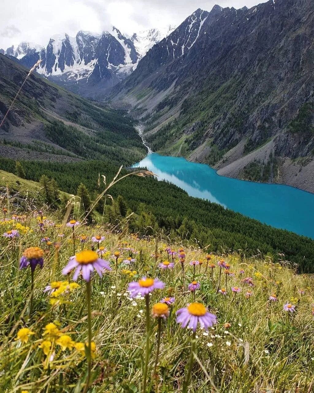 Природа алтая красивое фото Авторский тур в Алтай: горы, реки, озера, заброска на ледник