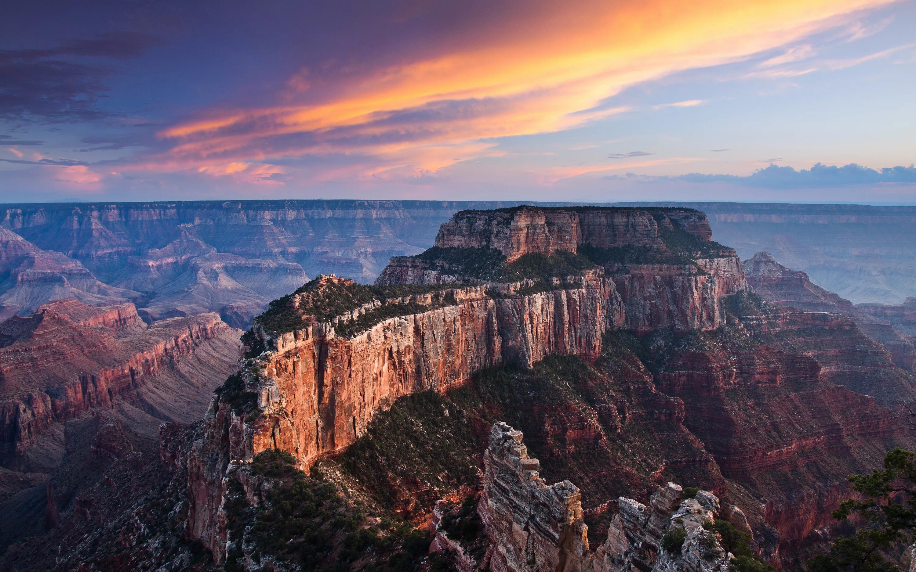 Природа америки фото Норт-Рим Гранд Каньона, США Обои для рабочего стола 1680x1050