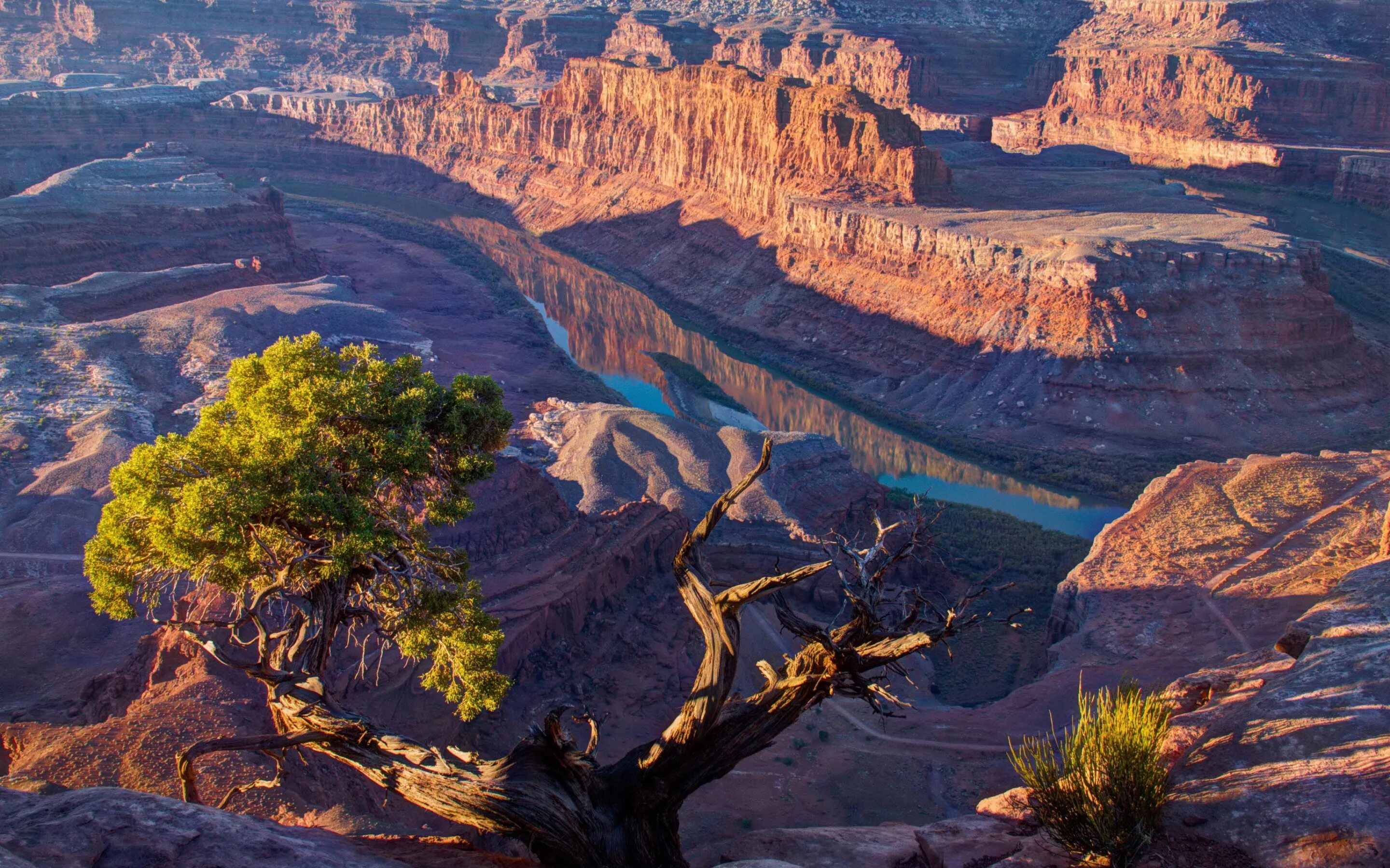 Природа америки фото Download wallpaper light, river, tree, Mountains, canyon, USA, Utah, solar, sect