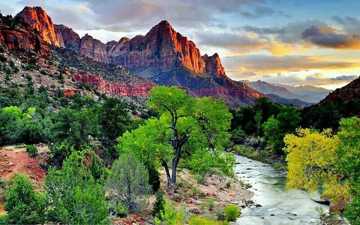 Природа америки фото Pin by Ruth Brown-Eubanks on mountains National parks, Zion national park, Natio