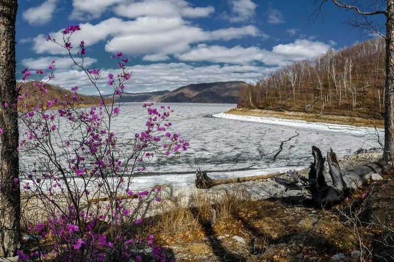 Природа амурской области фото Василий Орлов: За памятники природы будут отвечать муниципалитеты - Новости - Ин