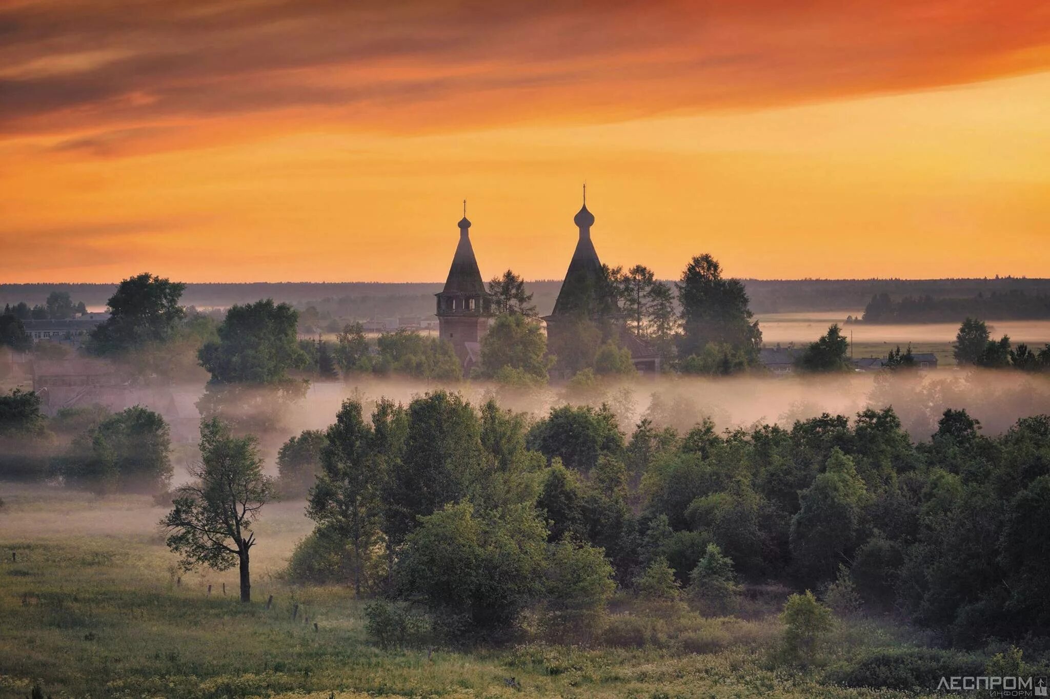 Природа архангельской области фото Русский Север сохраняет темп: лесопереработка в Архангельской области