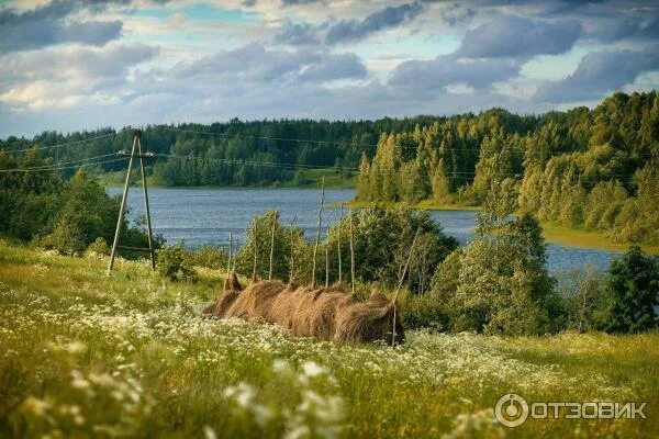 Природа архангельской области фото Отзыв о Кенозерский национальный парк (Россия, Архангельск) Сказочное место, вда