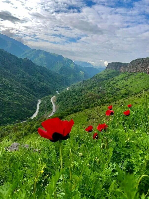 Природа армении фото ✈ ️Туризм Армения/Россия Տուրիզմ Հայաստան / Ռուսաստան Кирилл Евтушенко Дзен