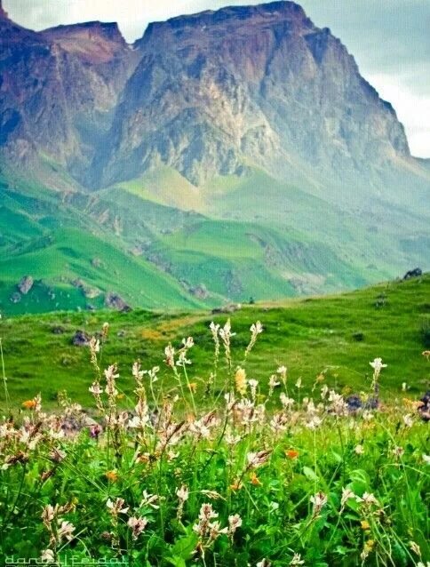 Природа азербайджана фото Caucasus Mountains, Azerbaijan Azerbaijan travel, Asia travel, Travel