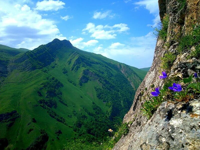 Природа азербайджана фото Экскурсия "Поездка в город Кусары"