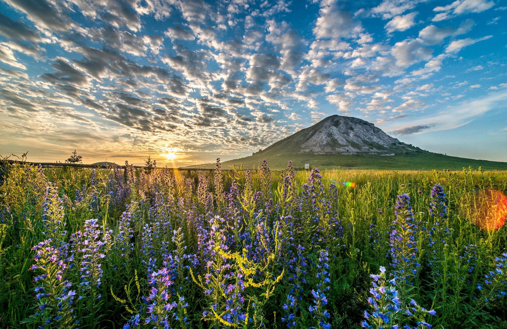 Природа башкирии фото самые красивые Шиханы, Салават Юлаев и бортевые пчёлы: едем в Уфу на машине