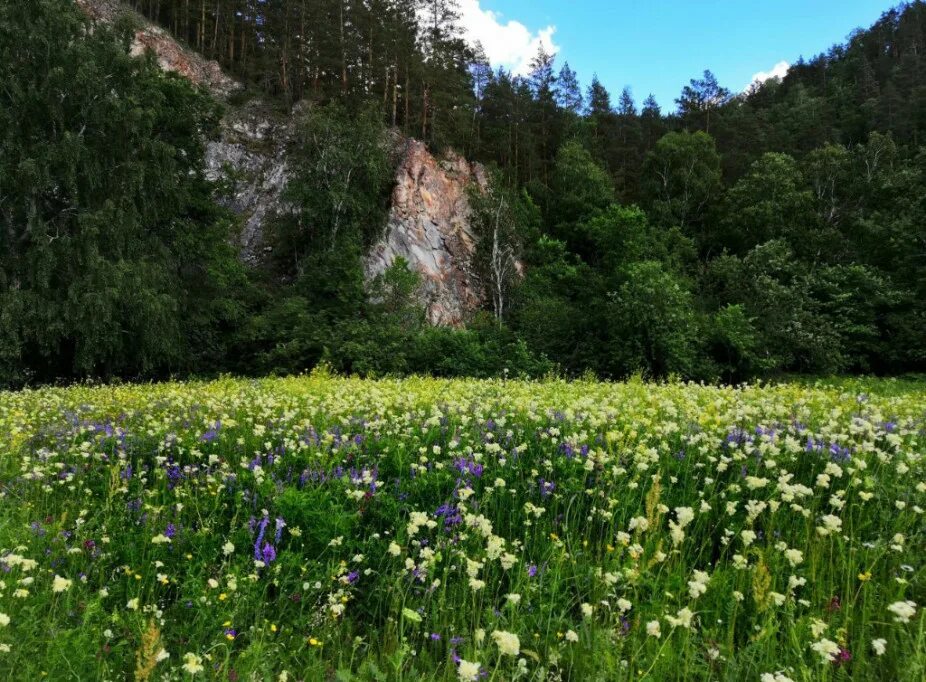 Природа башкирии фото самые красивые места Развлечения Мелеуз (респ. Башкортостан) - онлайн бронирование отелей