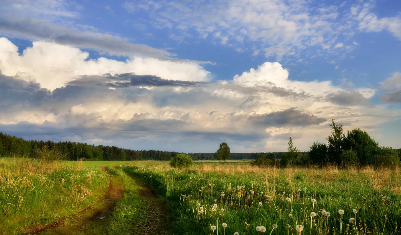 Природа беларуси фото Природа Беларуси / Автор: Виктор Акацевич