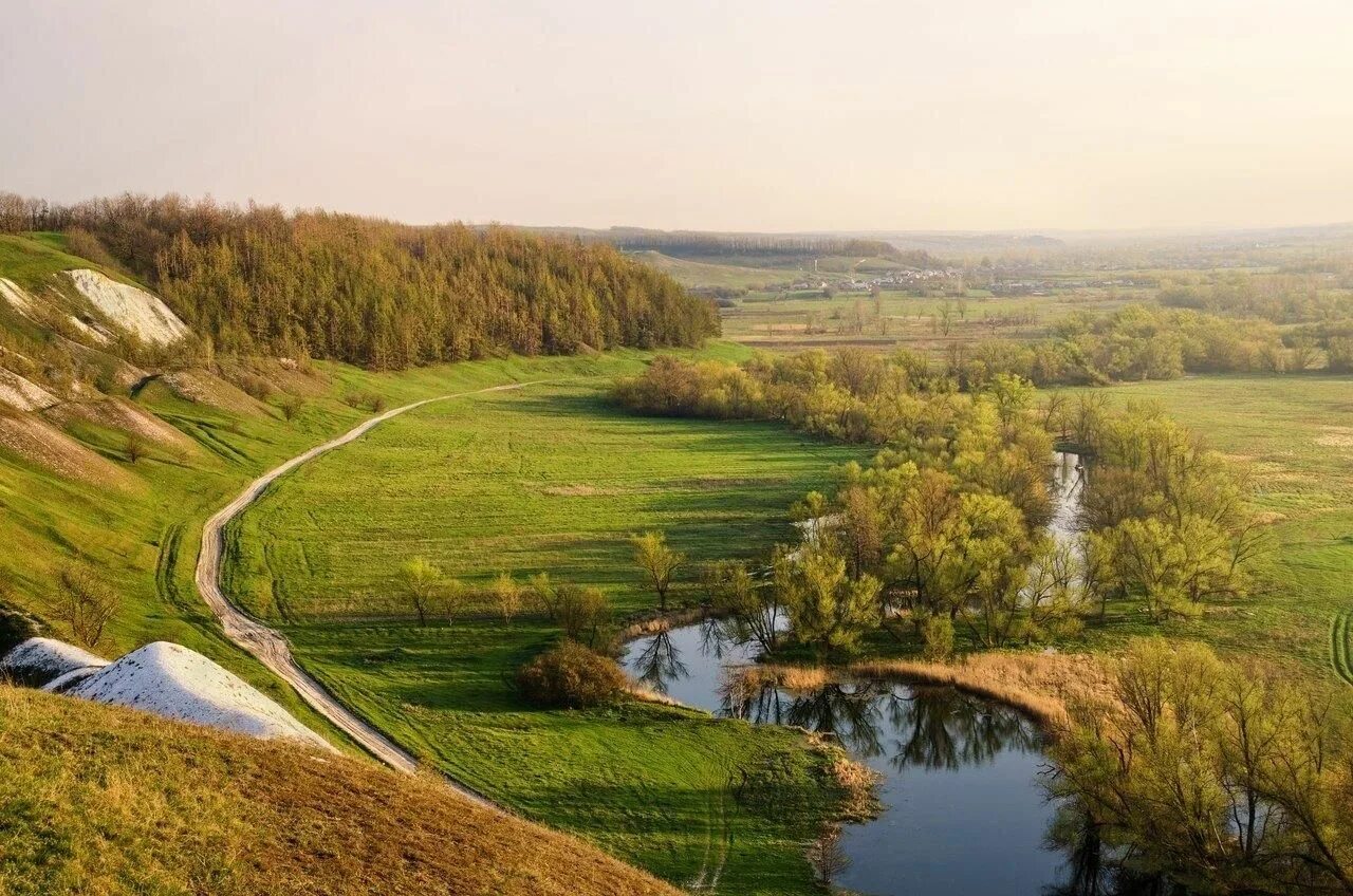 Природа белгорода фото Край родной" 2021, Куркинский район - дата и место проведения, программа меропри