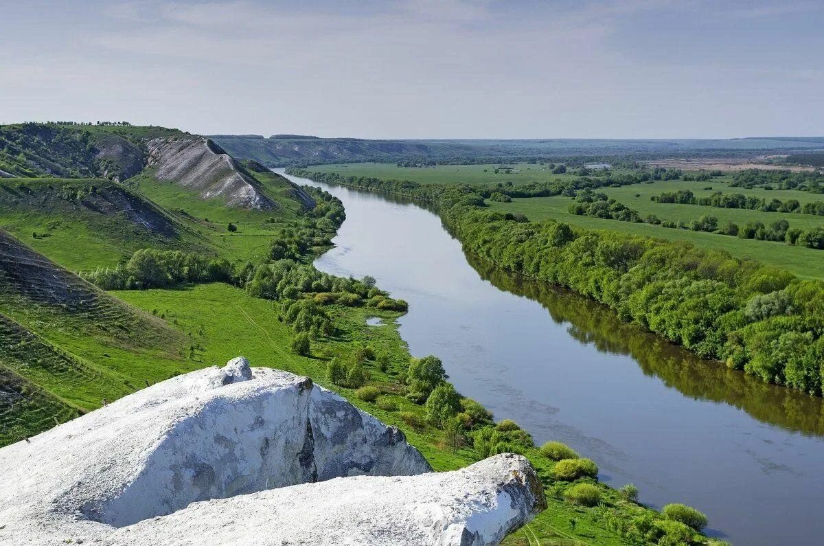 Природа белгорода фото Экологическое путешествие "Заповедные места Белгородского края" 2023, Яковлевски