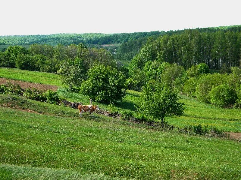 Природа белгородской области фото Фоторепортаж (фотоподборка) георгий герасименко Дзен