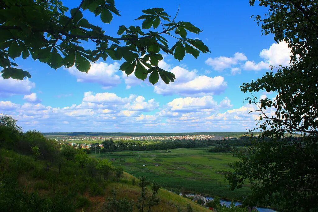 Природа белгородской области фото Белогорье. Природа вокруг городка Шебекино - Телеканал "Моя Планета"