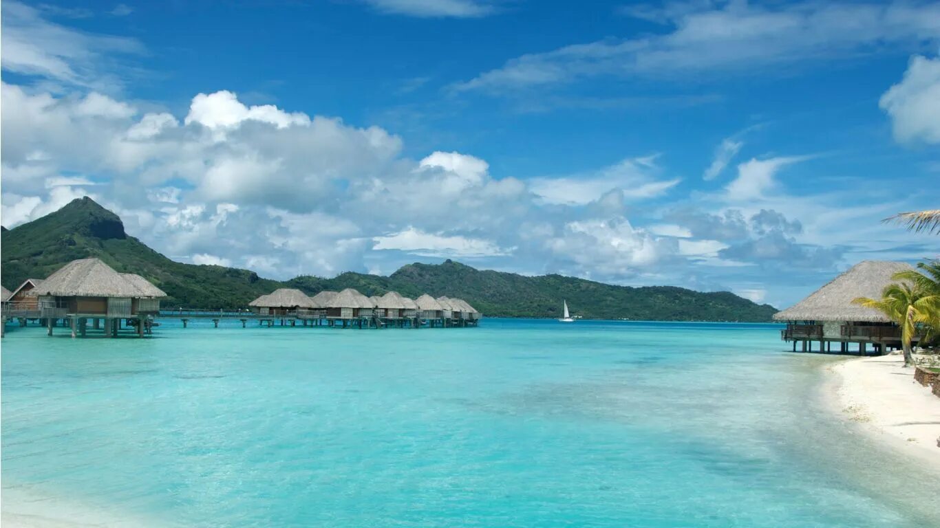 Природа бора бора фото BORA BORA..........SOURCE BING IMAGES....... Bora bora honeymoon, Honeymoon loca