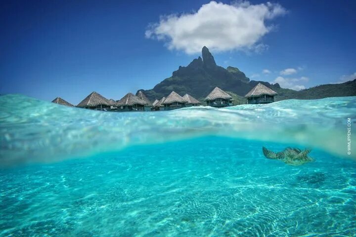 Природа бора бора фото Bora Bora Bora bora, Bora bora tahiti, Ocean wallpaper