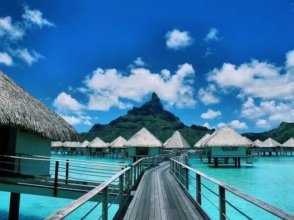 Природа бора бора фото Bora Bora, Polinesia Francesa Bora bora island, Bora bora, Dream vacations