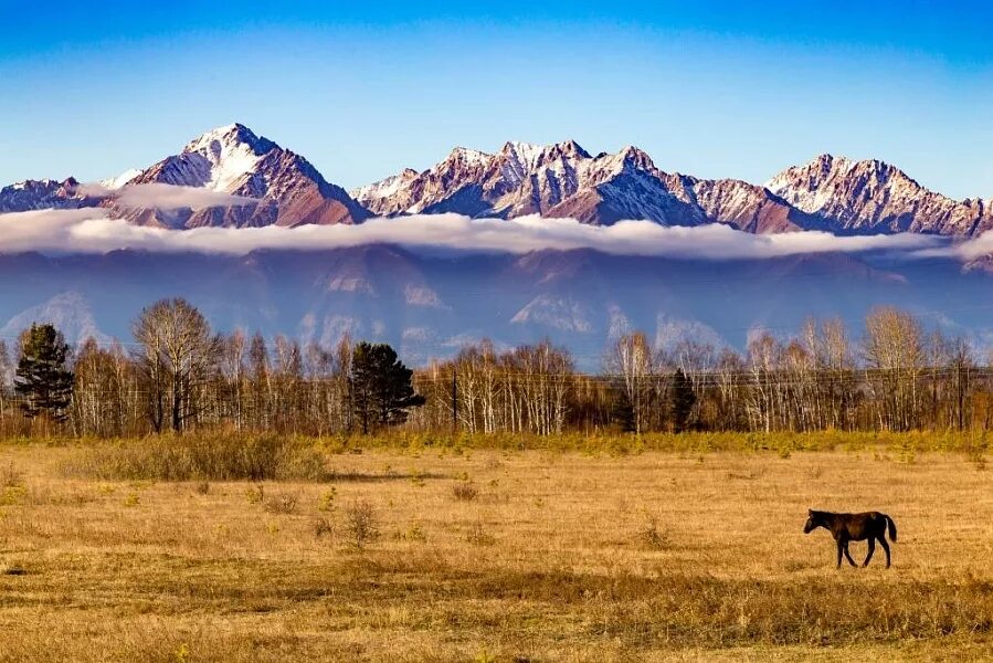 Природа бурятии фото Экскурсия в Тункинскую долину - Горнолыжный курорт "Гора Соболиная"