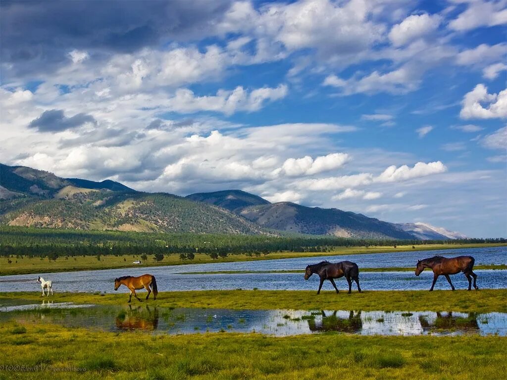 Природа бурятии фото Познавательный час "Край задумчивой выси и шири" 2018, Улан-Удэ - дата и место п