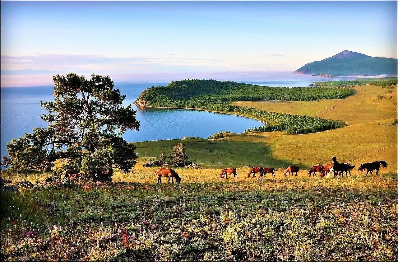 Природа бурятии фото North Of Baikal 5* - Luxury-tour of Lake Baikal Tour operator Baikal Power