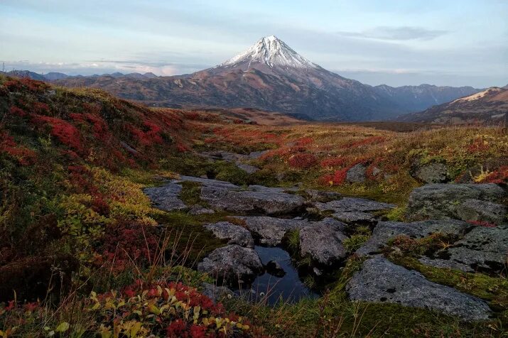 Природа дальнего востока фото Magic Carpet Russian Geographical Society