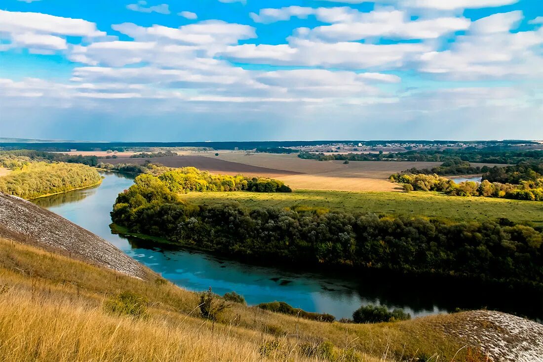 Природа дона фото Дни культуры Ростовской области пройдут в Санкт-Петербурге - МРГ-Онлайн