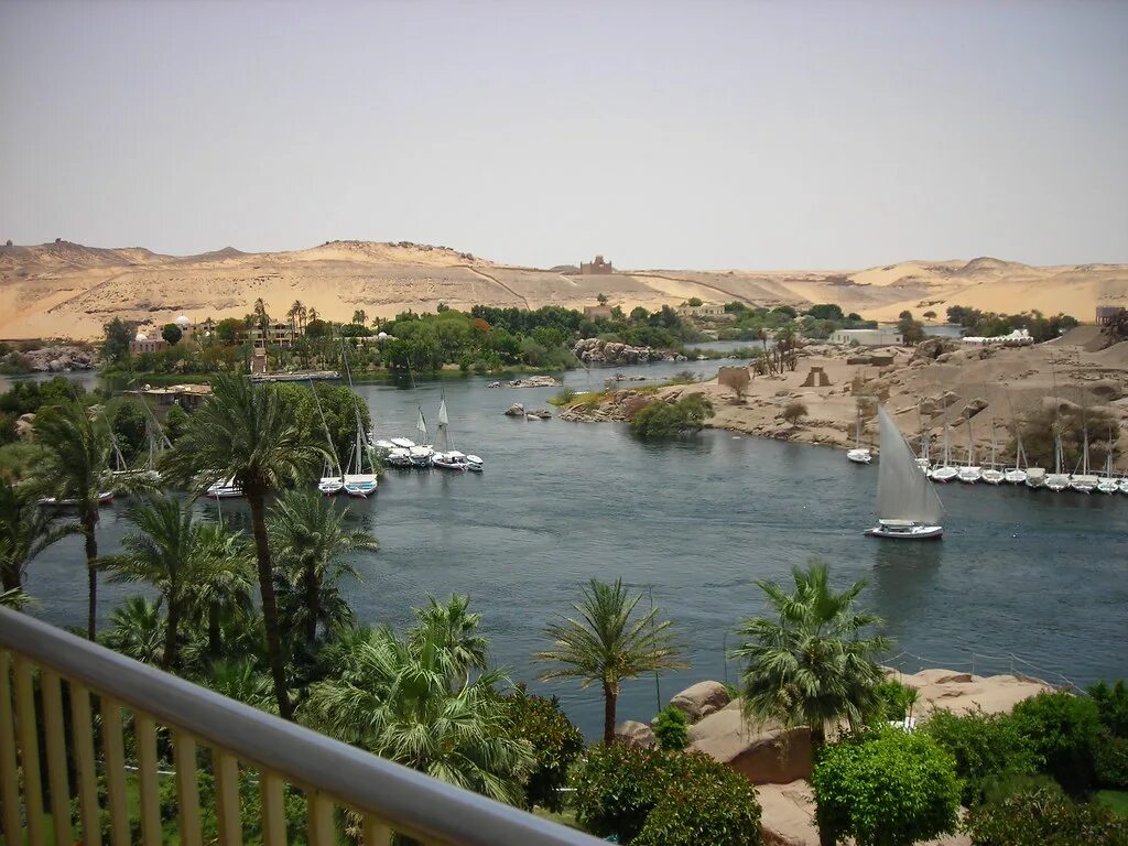 Природа египта фото Aswan - Such an amazing place View from my hotel room in A. Flickr