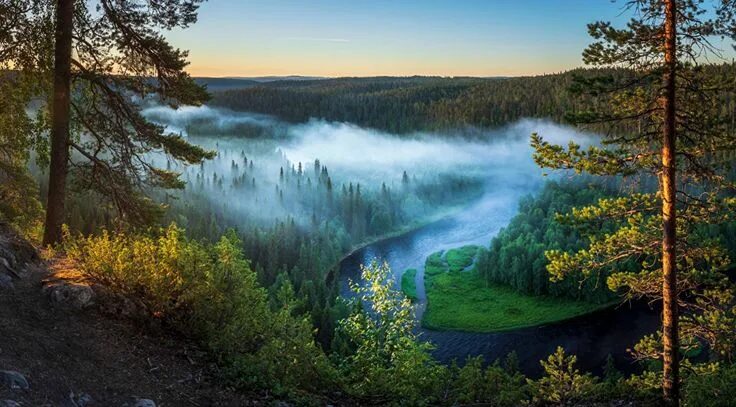 Природа финляндии фото Обои для рабочего стола Финляндия Kuusamo тумане Природа лес Пейзаж Landscape, W