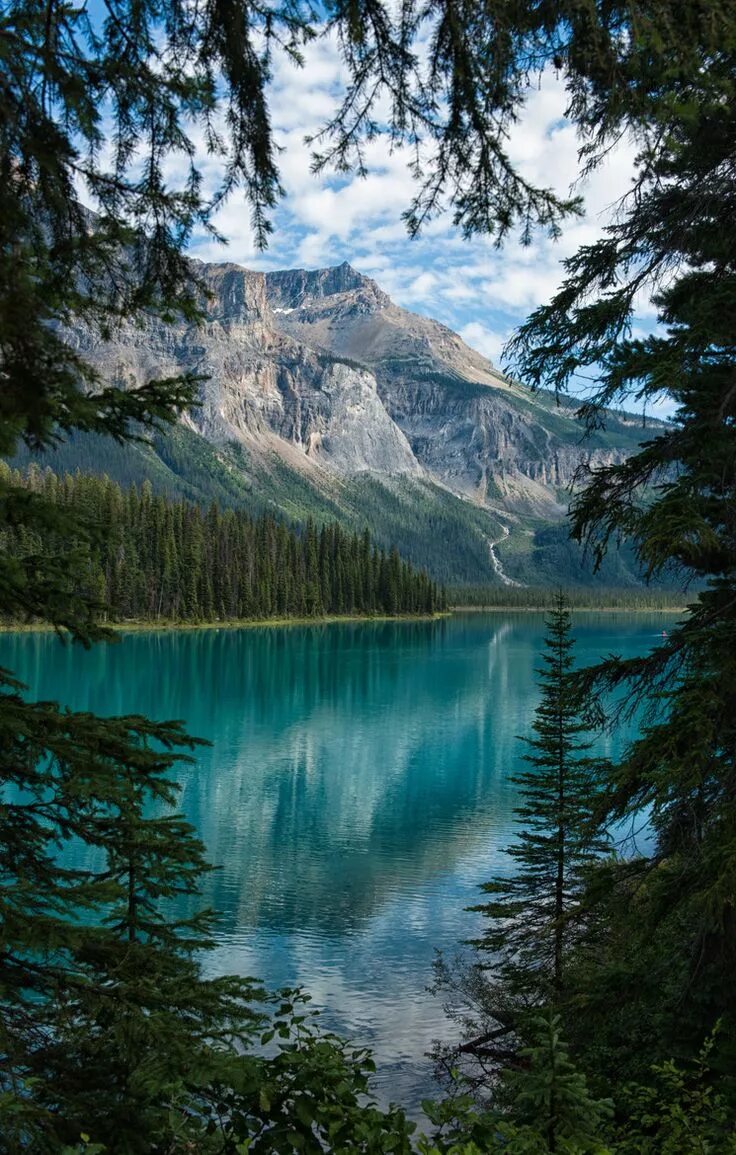 Природа фото на телефон обои вертикальные A Peek of Emerald Lake, Yoho National Park, Canada Nature, Scenery, Canada natio