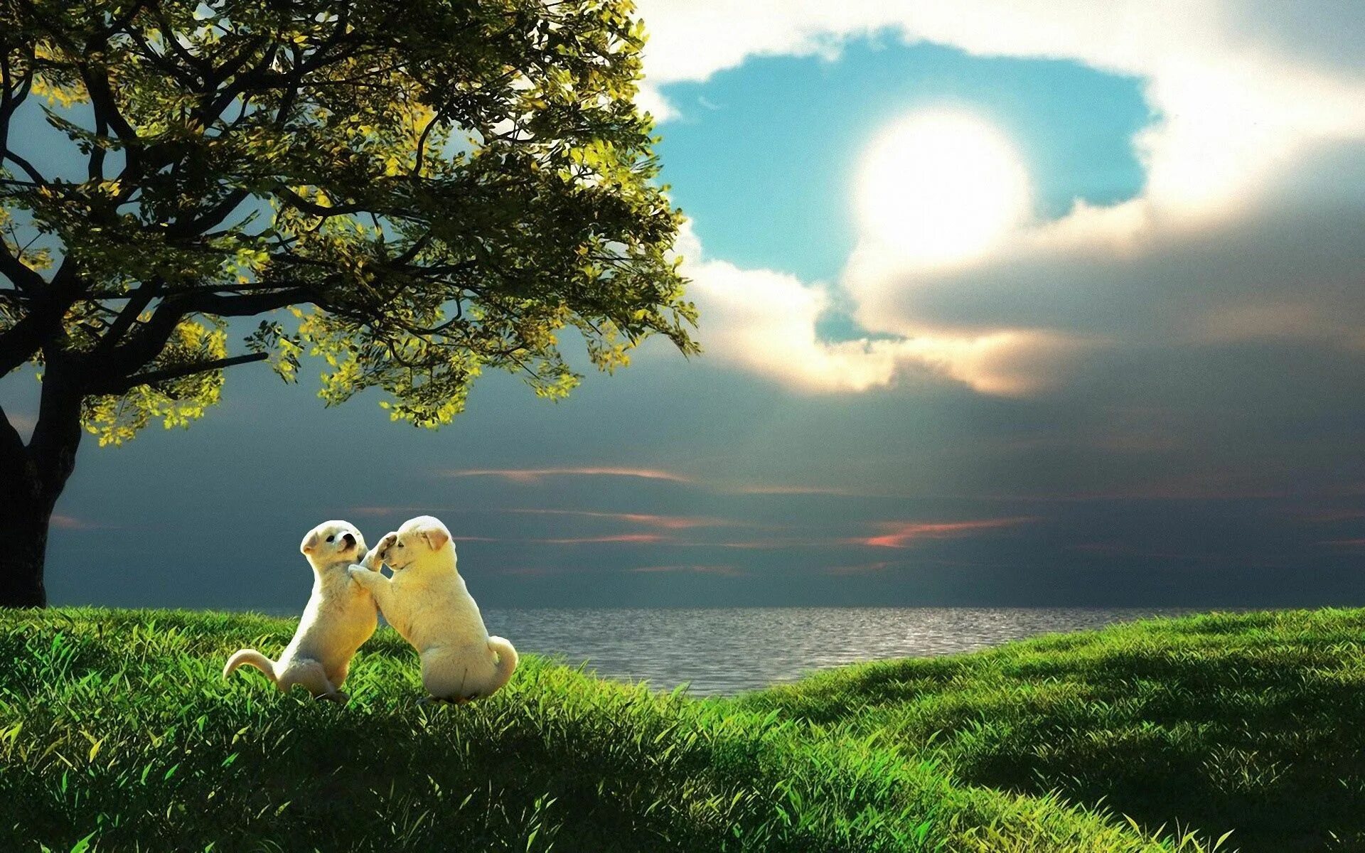 Природа фото надпись Download wallpaper 1920x1200 puppy couple sunset-19201200 Hd nature wallpapers, 