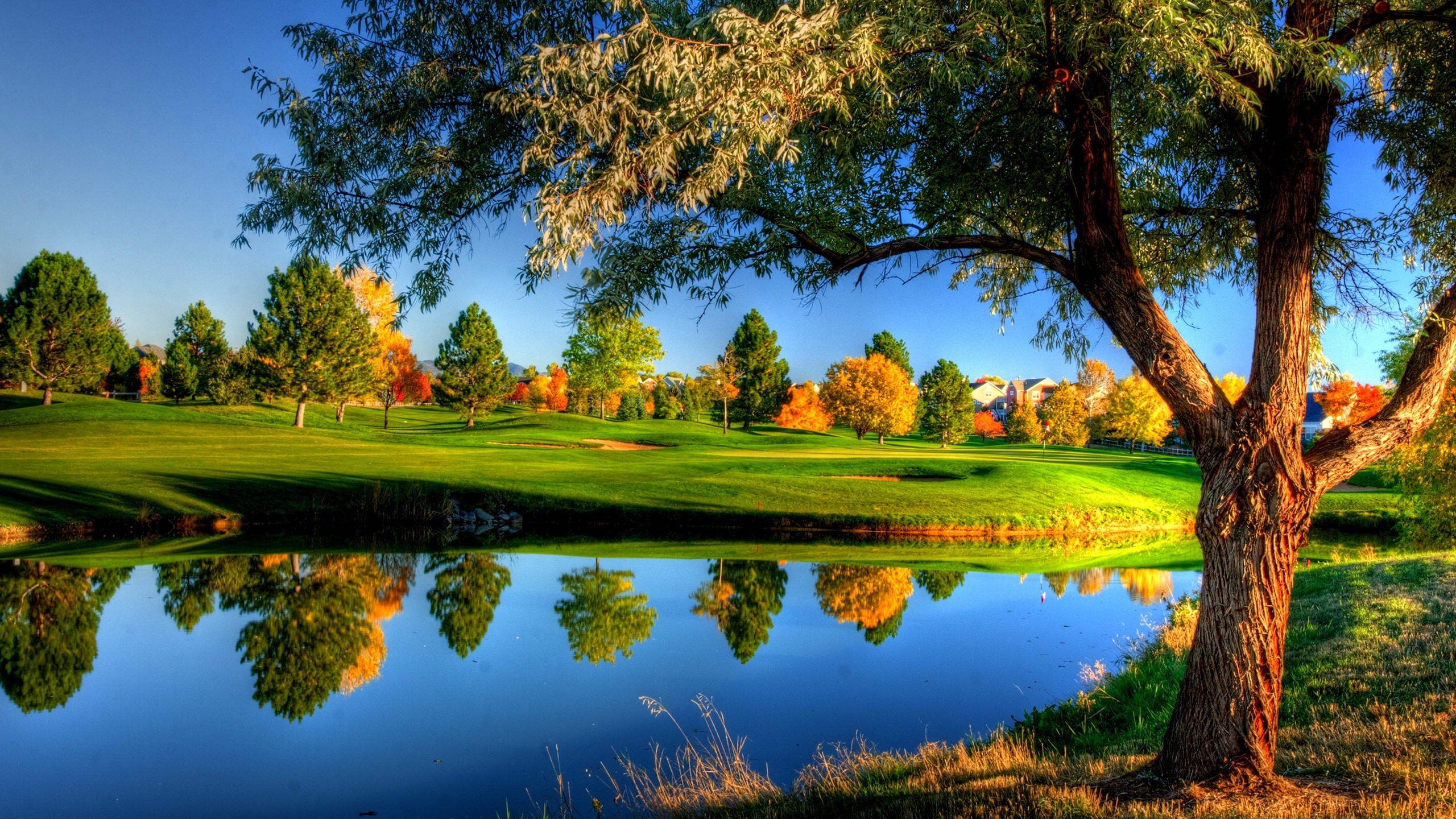 Природа фото надпись Wallpaper : trees, landscape, colorful, fall, water, nature, reflection, grass, 