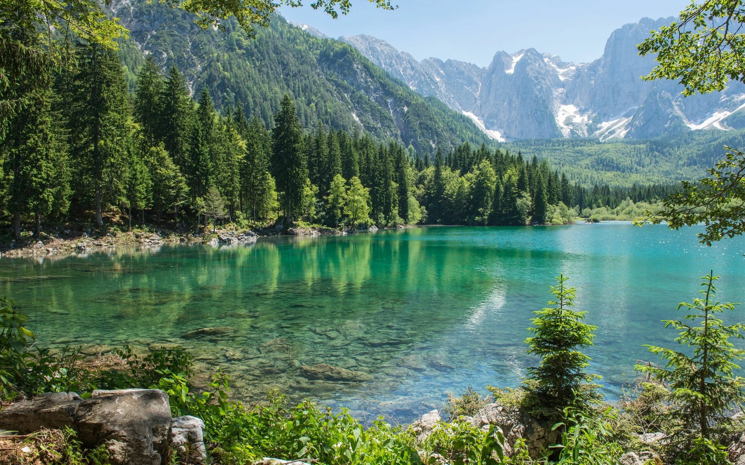 Природа фото обычные Montagne, forêt, arbres, lac, pierres Fonds d'écran - 2560x1600 Paesaggi, Laghi,