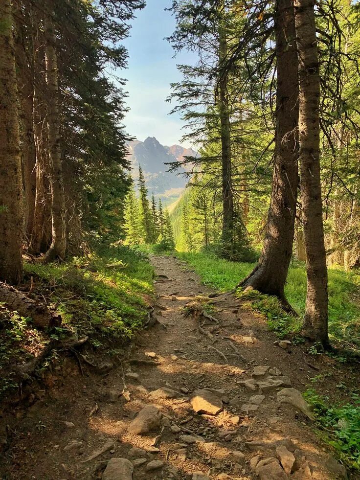 Природа фото обычные Four Pass Loop Snowmass Wilderness CO. OC 1536X2048 https://ift.tt/37zOwx2 Lands