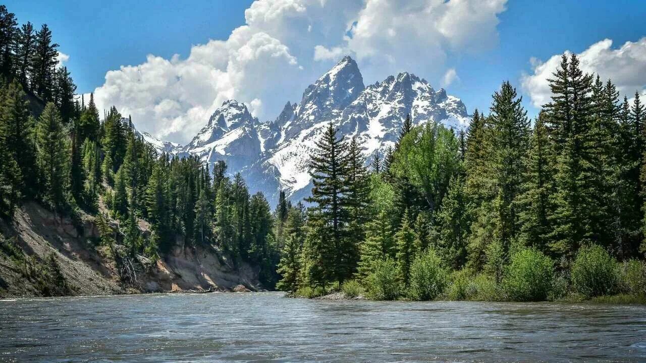 Природа фото онлайн бесплатно Пейзаж река горы лес 4k - купить по низкой цене на Яндекс Маркете