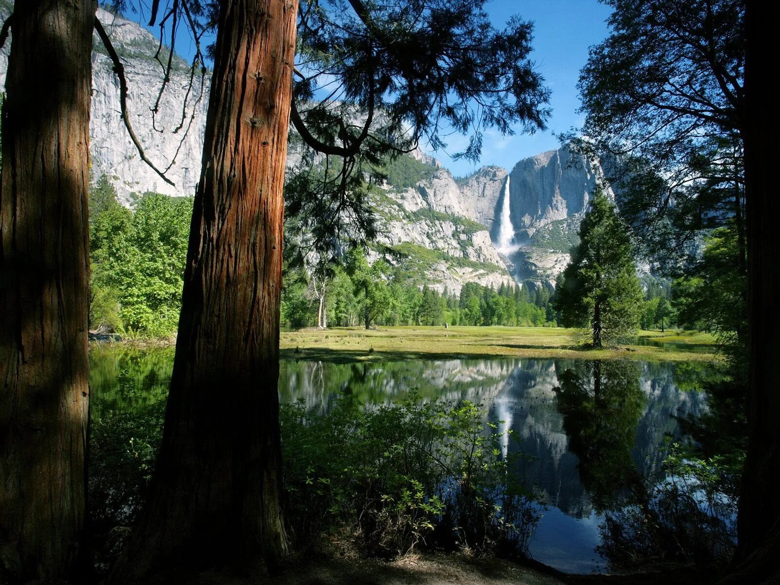 Природа фото онлайн бесплатно Wallpaper : trees, trunks, falls, lake, mountains 1600x1200 - - 1098506 - HD Wal