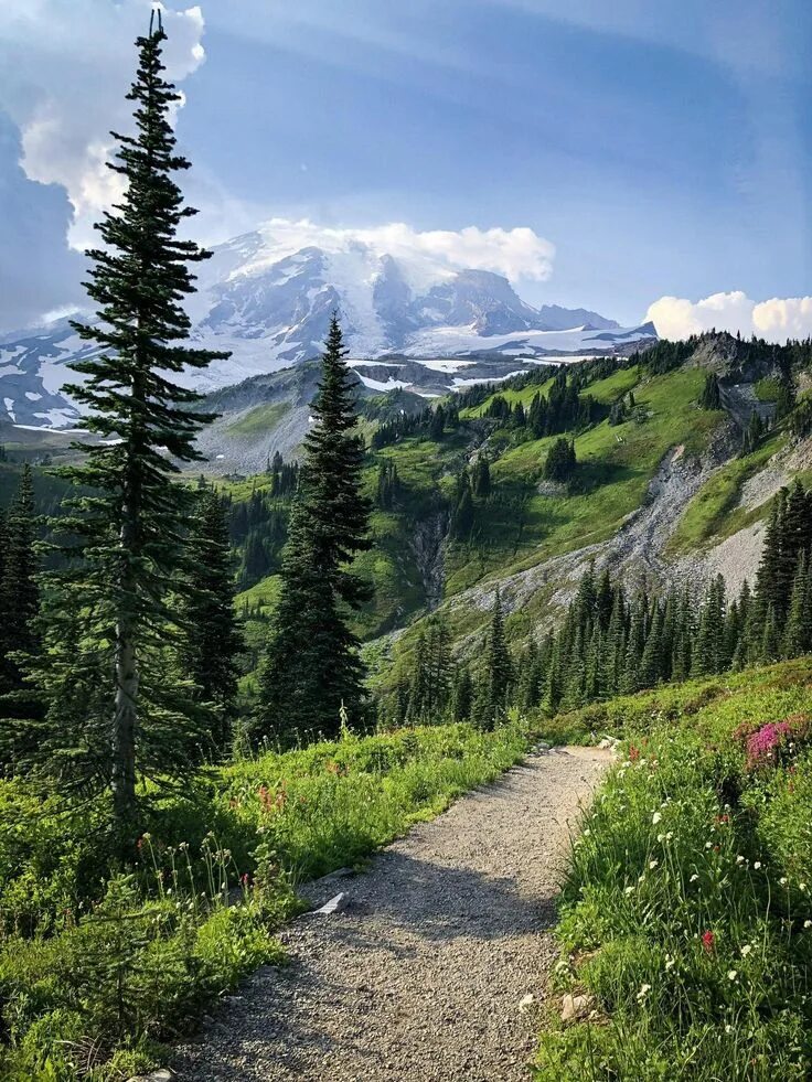 Природа фото онлайн бесплатно Mt.Rainier, WA is an alpine eden. (4032x3024) in 2020 Landscape photos, Landscap