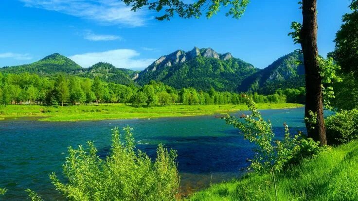 Природа фото онлайн бесплатно River Dunajec Poland-summer-landscape-Mountains with forest-green grass, blue sk