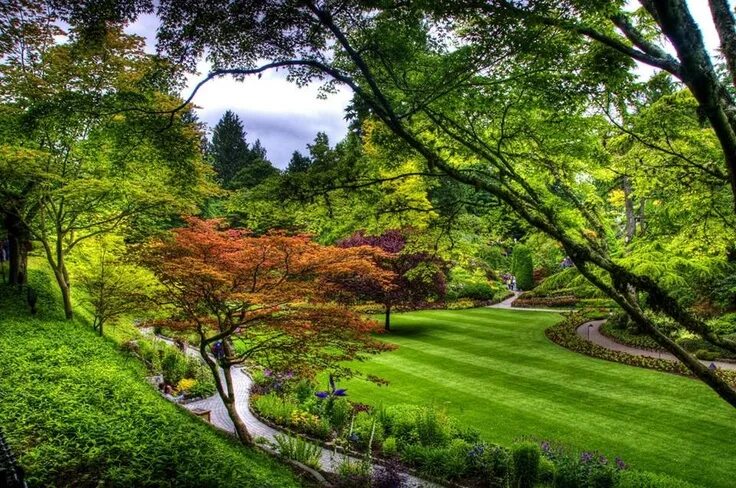 Природа фото парка Pin by Laurie Benningfield on GARDENS Green garden, Green lawn, Nature