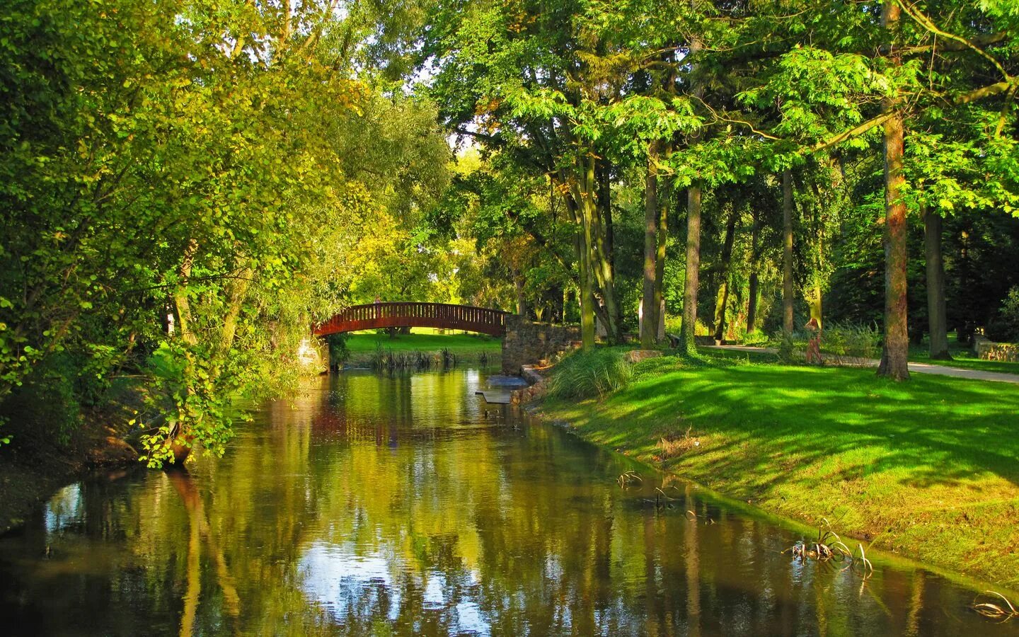 Природа фото парка Download wallpaper 1440x900 poland, trees, park, river widescreen 16:10 hd backg