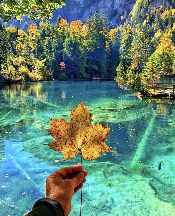 Природа фото писать Lake Blausee, Switzerland Forest lake, Places to travel, Beautiful places