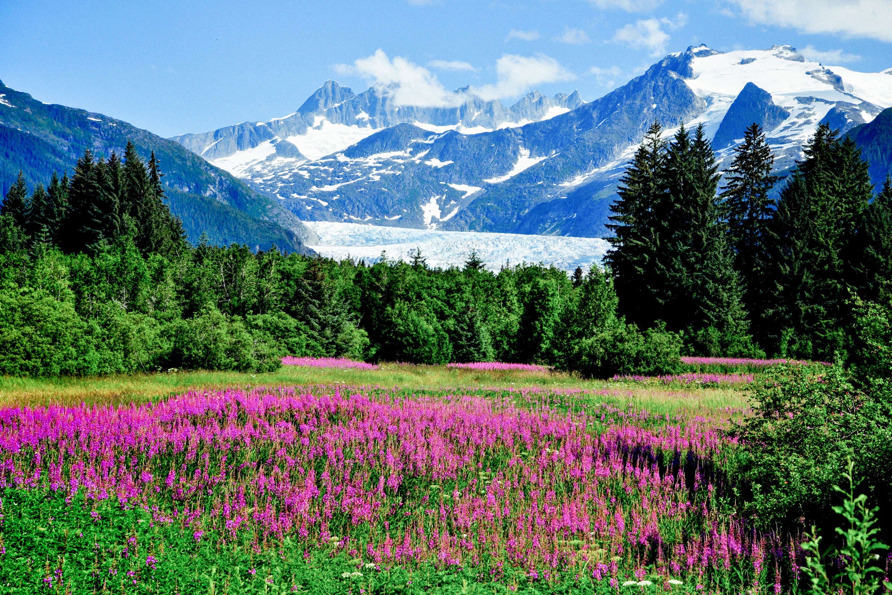 Природа фото рассказ 10 Incredible Hikes to Take When You're in Juneau Alaska travel, Juneau alaska, 