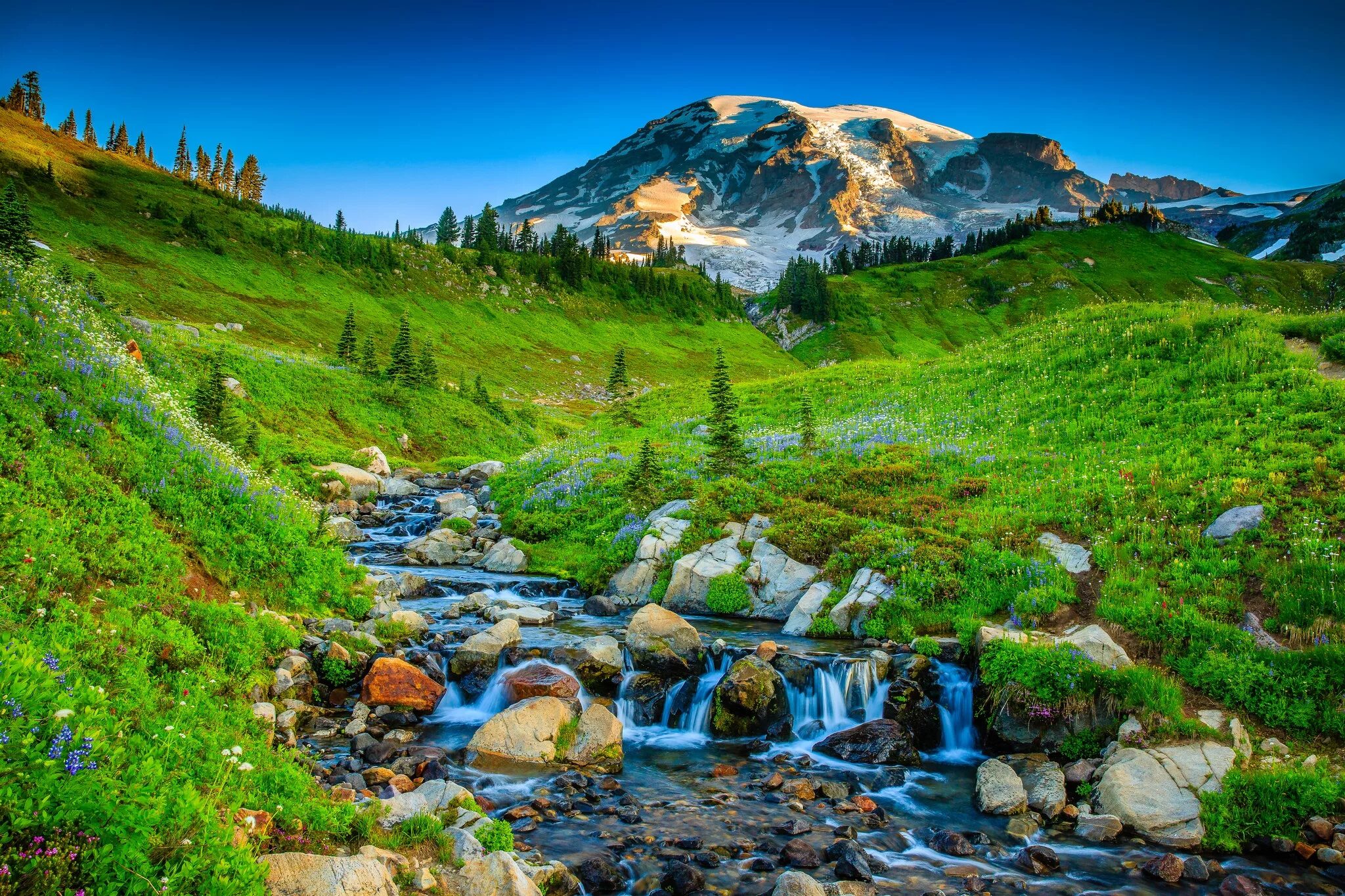 Природа фото рассказ Download wallpaper grass, trees, mountains, river, stones, USA, Washington, sect