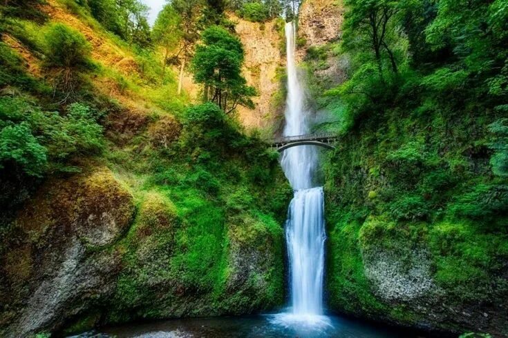 Природа фото самые красивые на телефон Величественный водопад Малтнома (США) 2 Oregon waterfalls, Beautiful waterfalls,