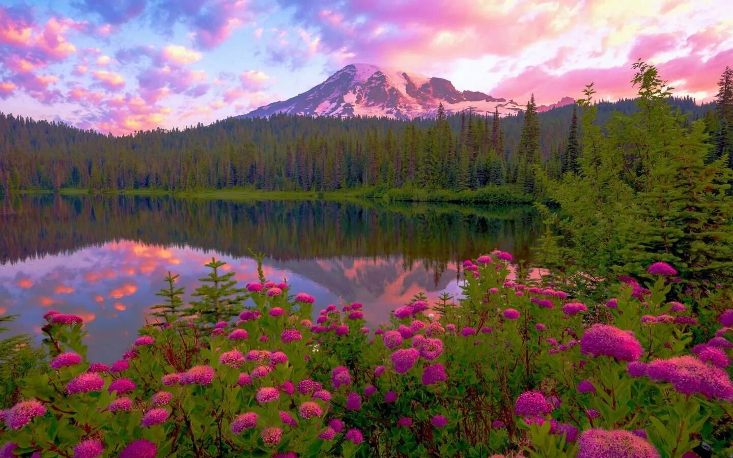 Природа фото самые красивые на телефон Jigsaw Puzzle 77 pieces Mount Rainer National Park, Washington Jigidi